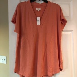 Lou and Grey (Ann Taylor)